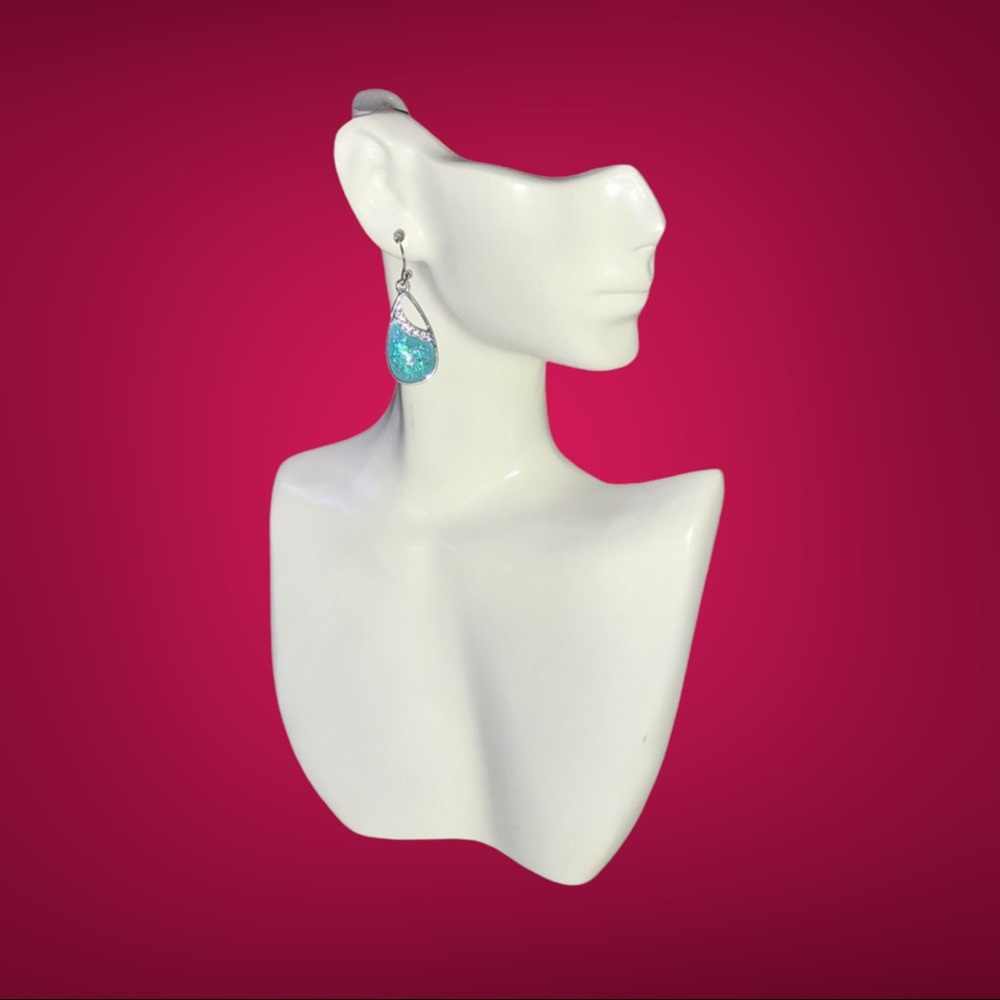 NWT Opalite Earrings